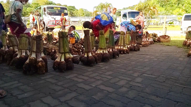 Kokopo Market and Local Life Visit