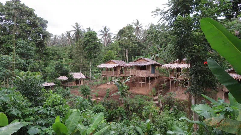 Nagu Tours