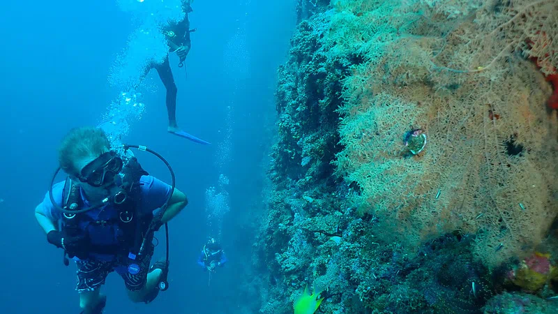 Rabaul Marine Dive and Sea Tour