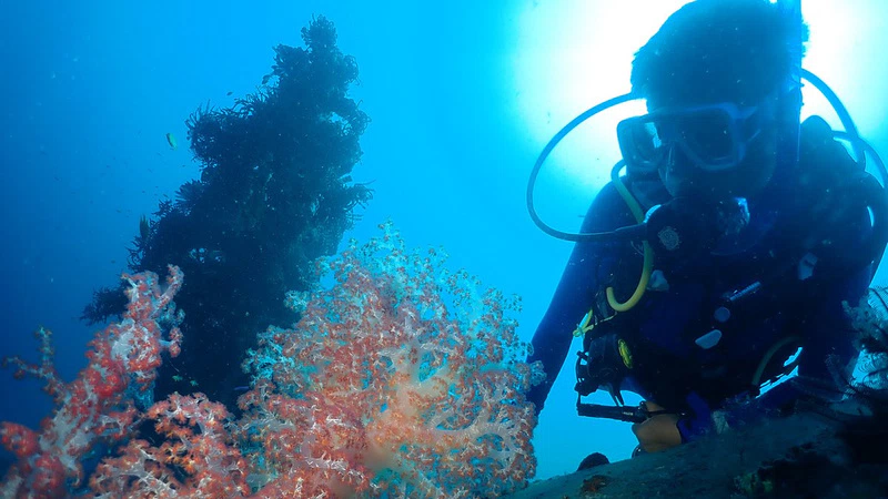 Rabaul Reef and Wreck Diving Package